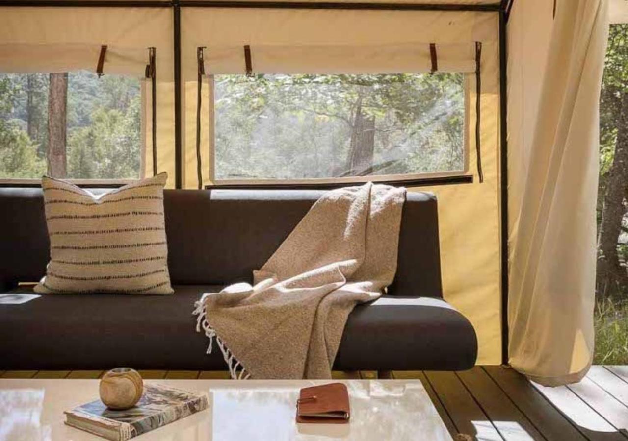 Autocamp Catskills Saugerties Eksteriør bilde